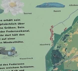 Federseesteg Bad Buchau