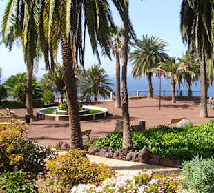 Taoro Park 2 Minuten vom Hotel entfernt, sehr schön