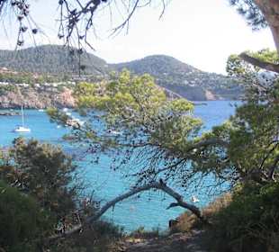 Cala Tarida