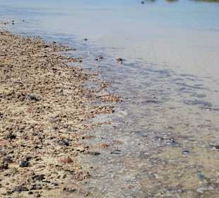 Relaxen und Geniessen