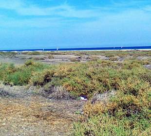 Naturschutzgebiet Sitio de Interés Científico Sala