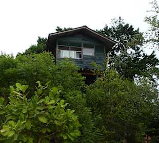 Baumhaus am Yalapark