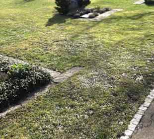 Friedhof Bempflingen