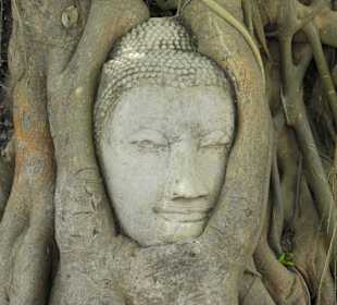 Die Natur kennt keine Grenzen  