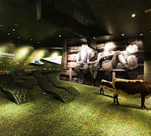 Almsommer in den Nationalparkwelten