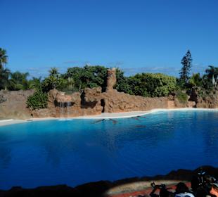 Loro Parque 