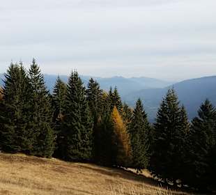 Aufstieg von der Ellen