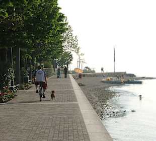 Lago