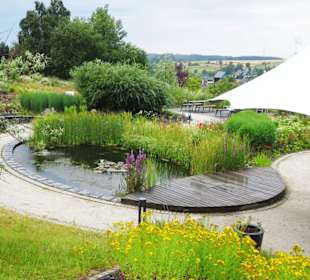 Rundgang durch den Kräuterlehr- und Schaugarten