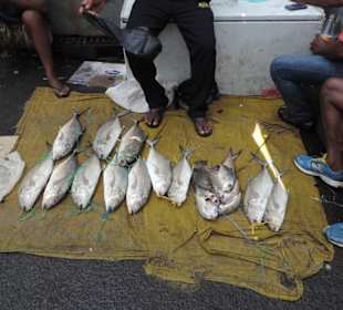 Auf dem Markt von Suva