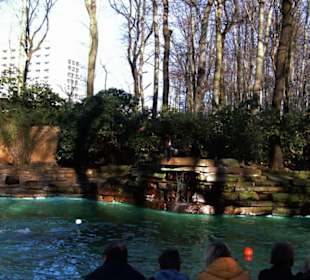 Zoo Dortmund - Die Tiere