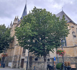  Sint-Mauritiuskerk in Bilzen, Belgien 