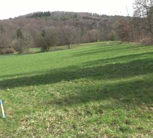 Gomaringer Rundweg - Zu den Giganten im Wald