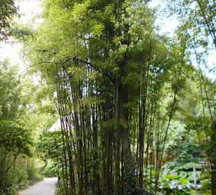 Schloßpark Kasteeltuinen Arcen