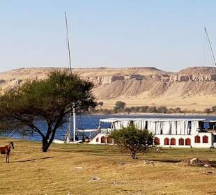 Luxor Assuan auf einer Dahabya: 