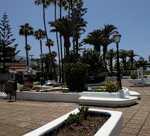 Inselrundfahrt AIDA Tagestour