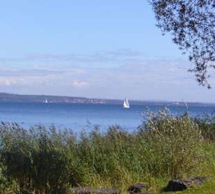 Ufer bei Kreuzlingen