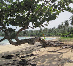 Playa Rincon