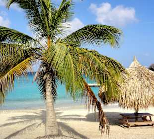 Impressionen vom Grote Knip