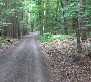 Wanderweg - Alter Steinbruch Pfaffenberg Runde
