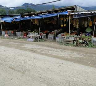 Ausflug Wildfife Expeditions