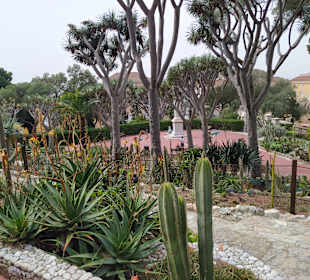 Botanischer Garten