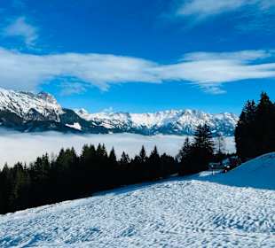 Ausblick