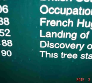 Tsitsikamma National Park