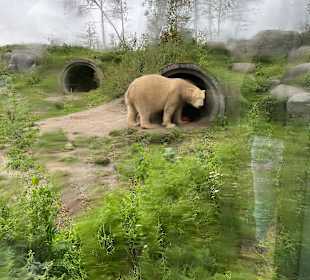 Wildlands Zoo in Emmen 