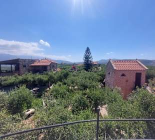 Urige Taverne inmitten von Olivenhainen. 