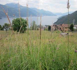 Blick von Stazzona zum See