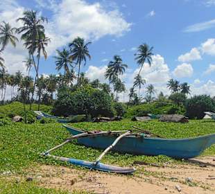 Strand Ahungalla bis Balapitiya