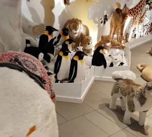 Steiff Museum