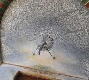 Der arsenhaltige Bäckerbrunnen in der Grabenstraße
