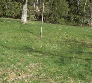 Rundweg am Beutenlay