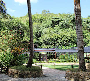 Auf der Schmettrlingsfarm