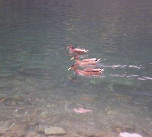 Tatrzański Park Narodowy