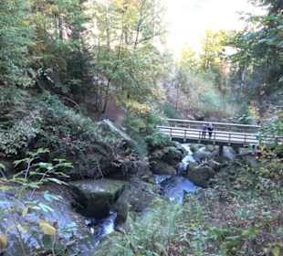 Triberger Wasserfälle