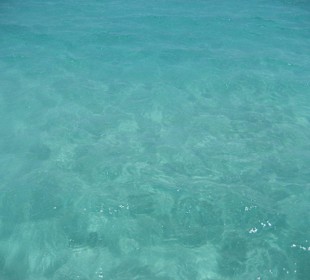 Sehr gute Wasserqualität