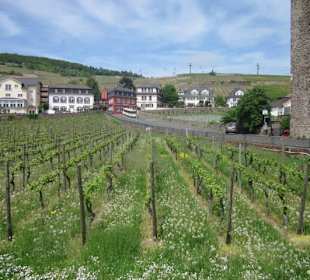 Altstadt Rüdesheim 