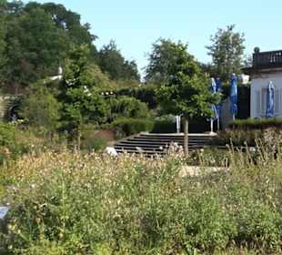Botanischer Garten München