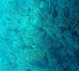 LABRANDA Royal Makadi