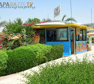 Aquacenter Ducks Dive