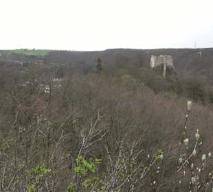 Wanderung rund um das Rusenschloss Gerhausen