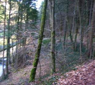 Wanderweg Pottenstein