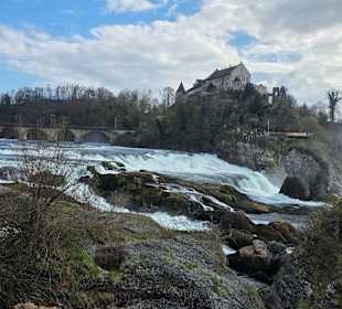 Rheinfall mit Schloss Laufen im Hintergrund