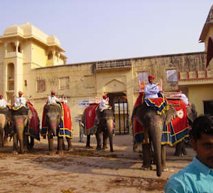 Die Elefanten im Innenhof