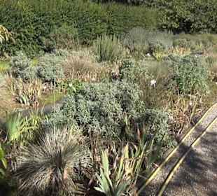 Botanischer Garten