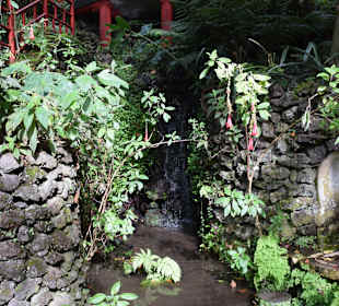 Asiatischer Bereich des Parks