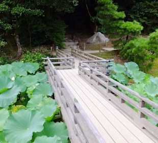 Mostek przez staw lotosów.
